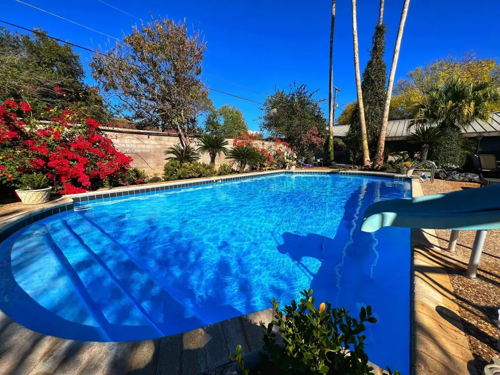 Freeform JCW pool with bright blue water, bougainvillea in bloom and palms behind it