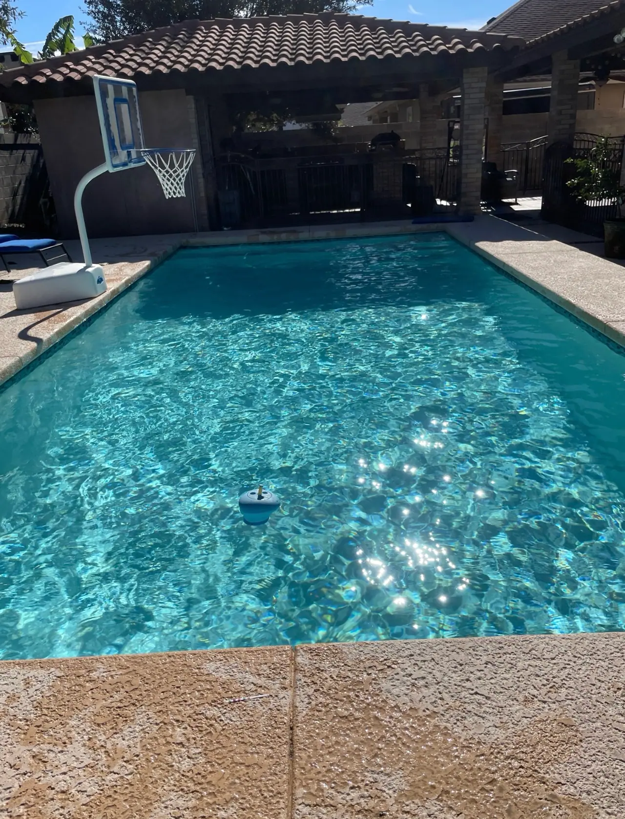 Family pool with a basketball hoop at the deep end, sunlight sparkling across the surface