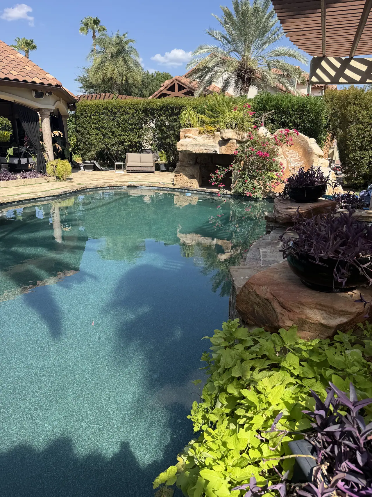 Freeform JCW pool edged with boulders and tropical planting under a clear sky
